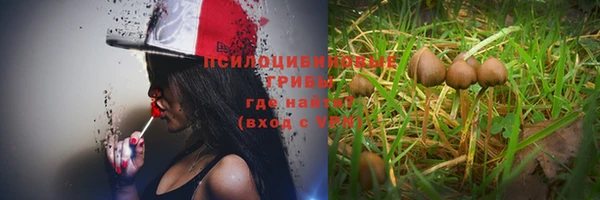 ECSTASY Алексеевка