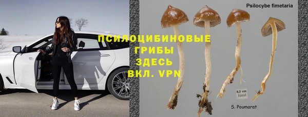 ECSTASY Алексеевка