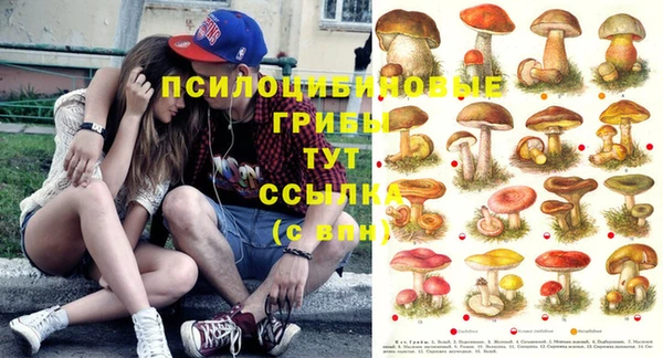 прущая мука Алексин